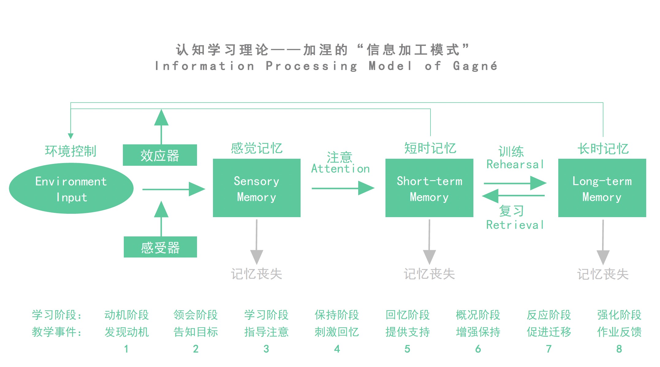 认知学习理论——加涅的“信息加工模式”